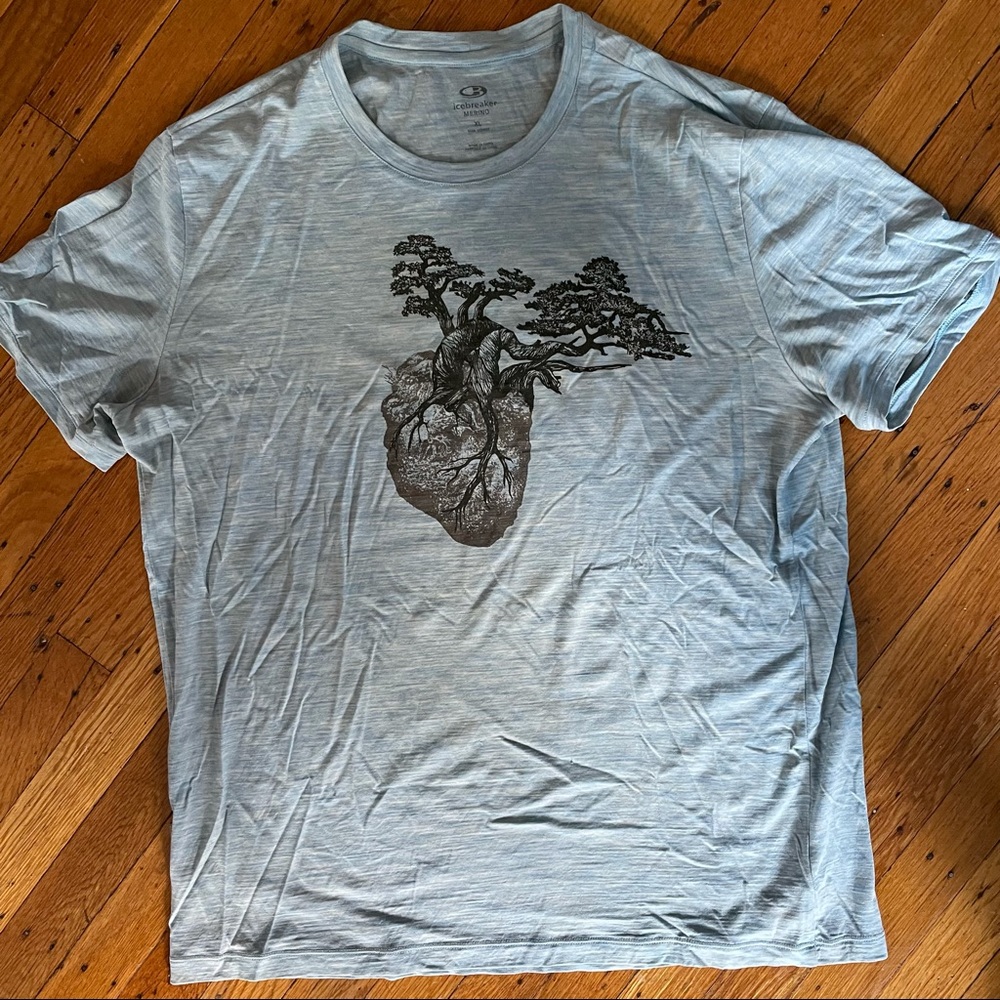 Icebreaker merino tee